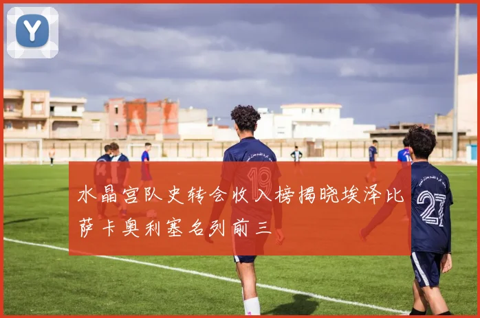 水晶宫队史转会收入榜揭晓埃泽比萨卡奥利塞名列前三