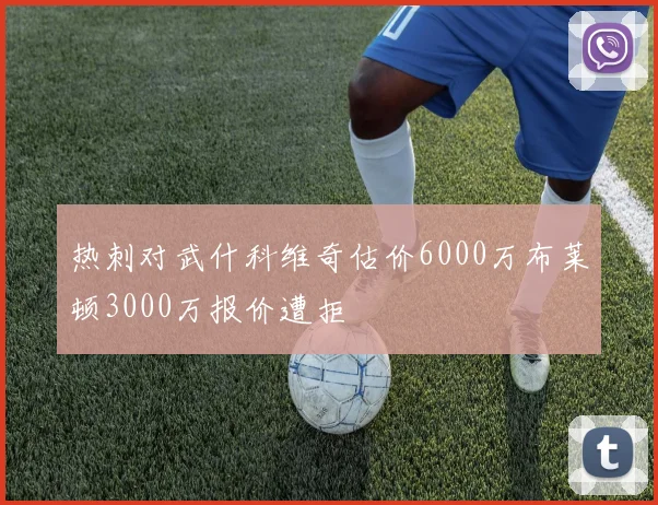 热刺对武什科维奇估价6000万布莱顿3000万报价遭拒