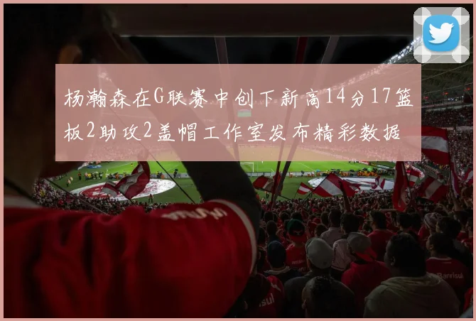 杨瀚森在G联赛中创下新高14分17篮板2助攻2盖帽工作室发布精彩数据海报